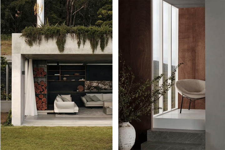 Concrete garden pavilion with planting along its roof and stacked firewood, beside a timber lined room with a branch.